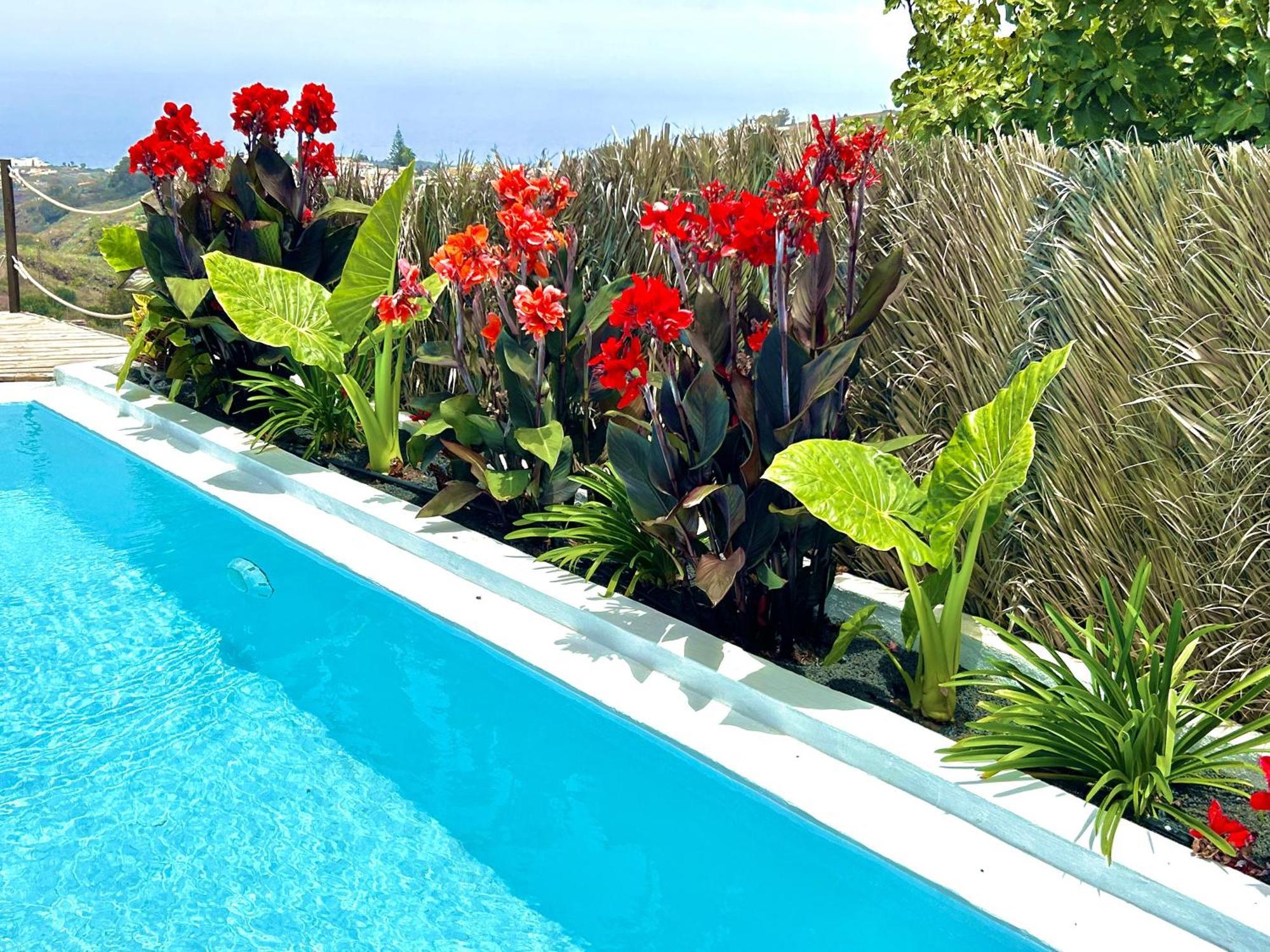 Ocean Breeze Villa *