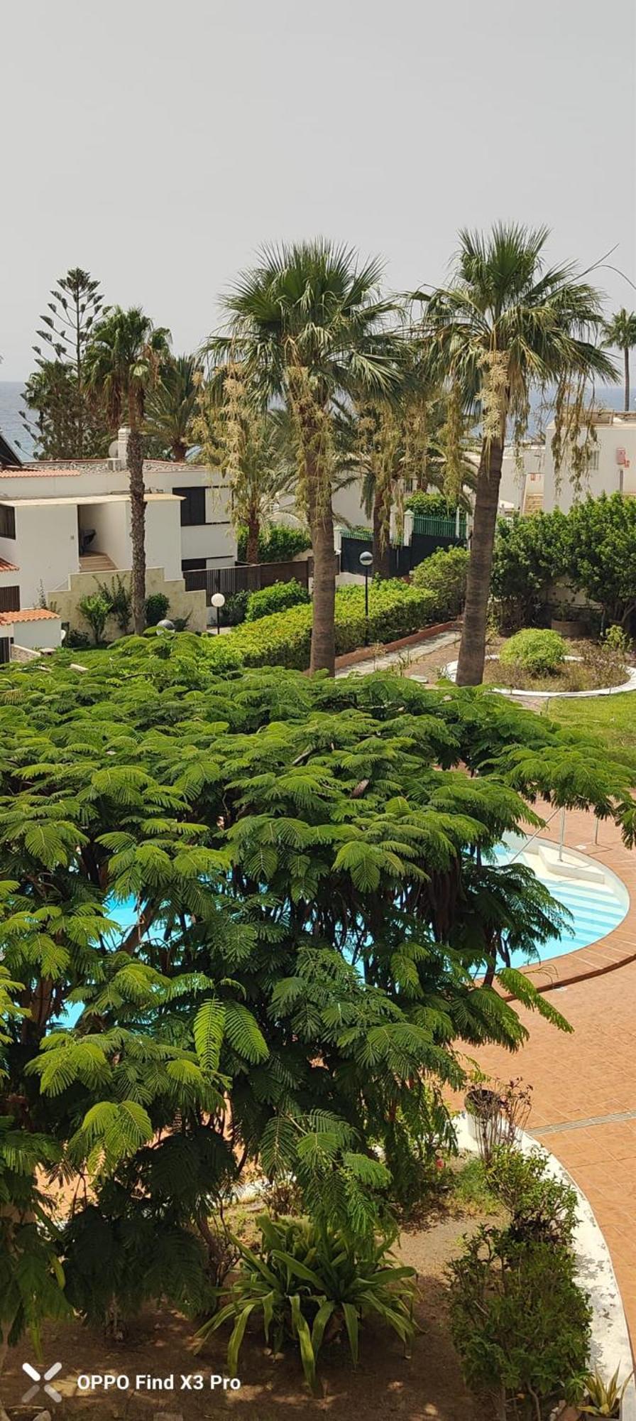 Sunrise Apartamento