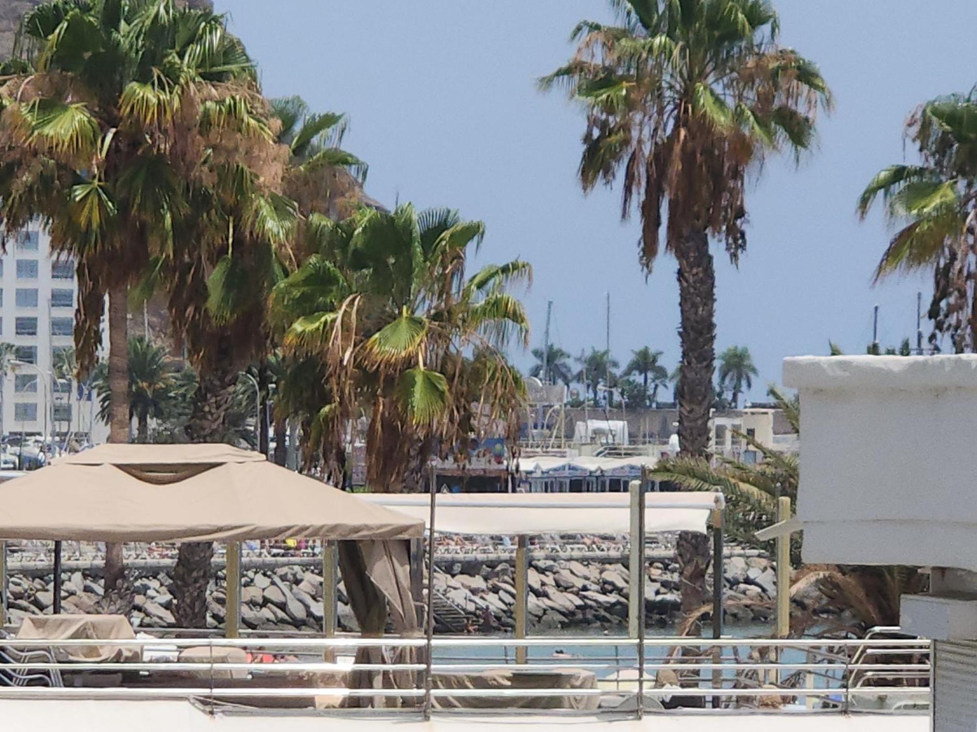 Modern With Sea View Nearby The Mogan