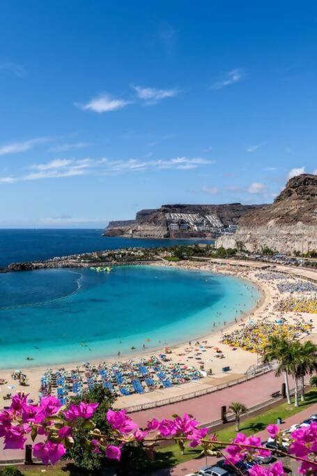 Vibe ,wifi ,espacio Trabajo,playa ,ocio