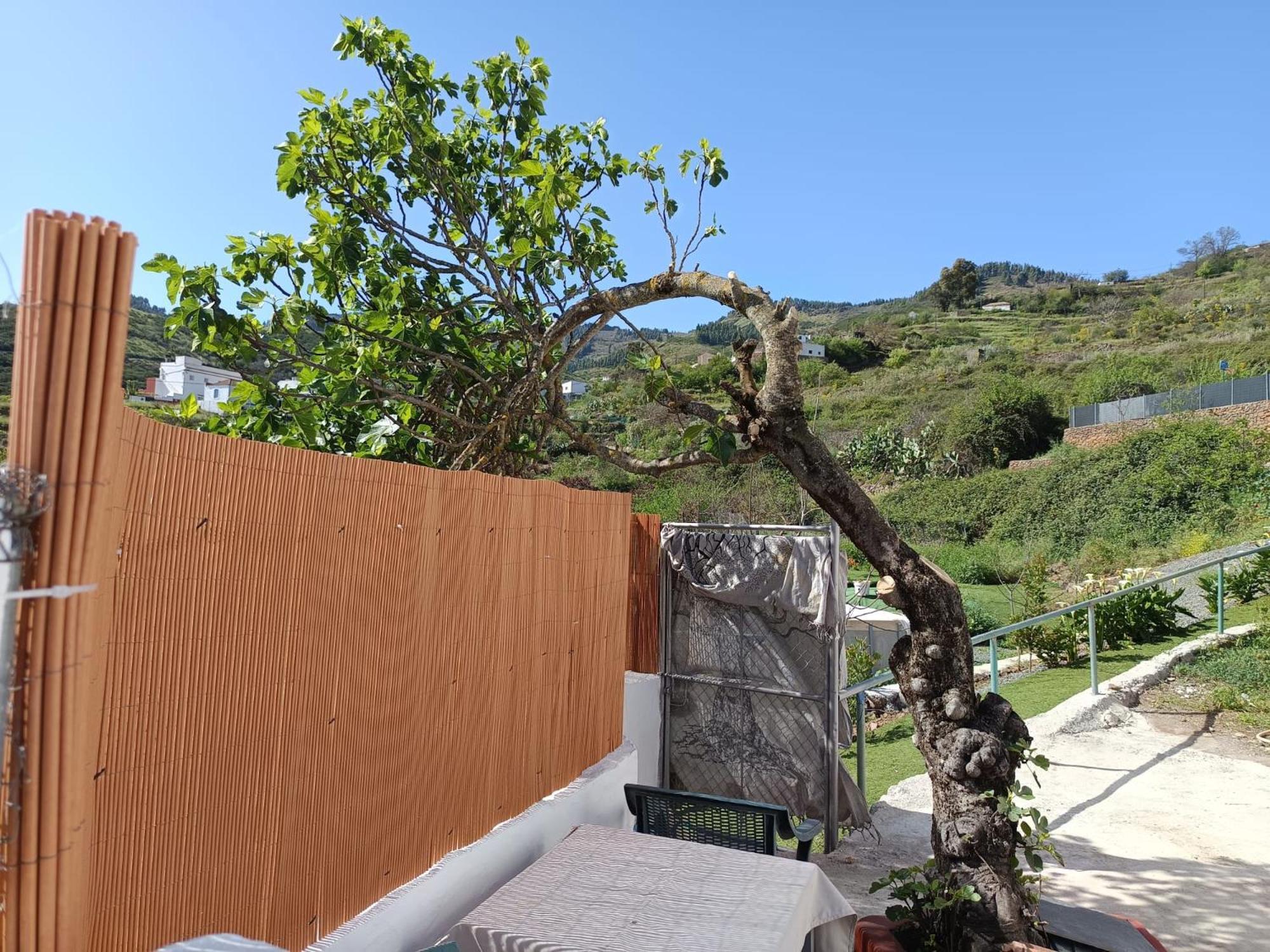 Chalet Vv Rural Ecocielo