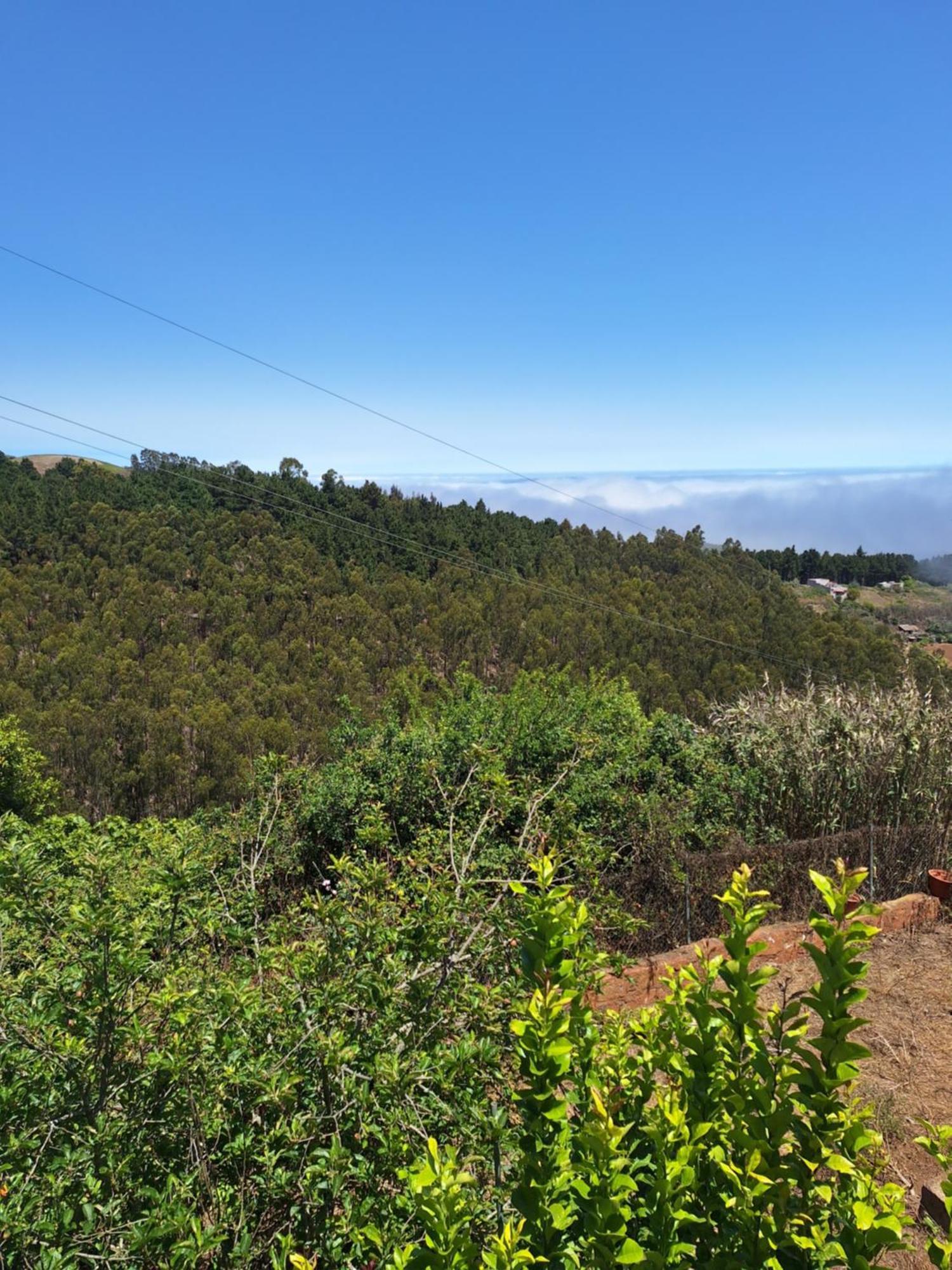 Esther * Las Palmas de Gran Canaria