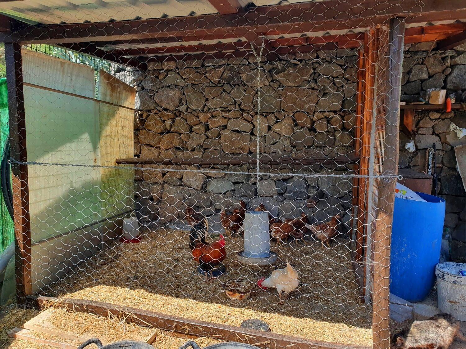 Acogedora Casa 2hab Con Terraza, Barbacoa Y Senderismo * Teror