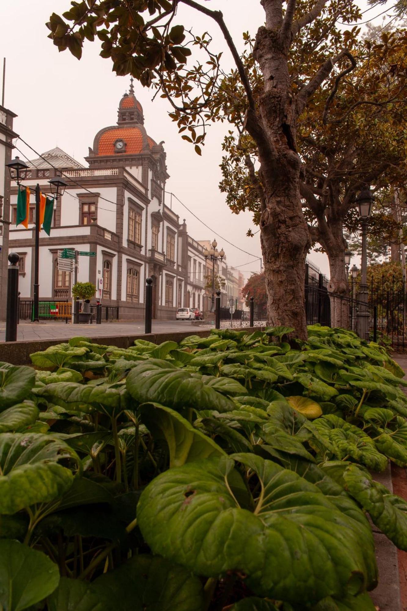 Balcony Spacious 2br Historic Center Apartamento Arucas