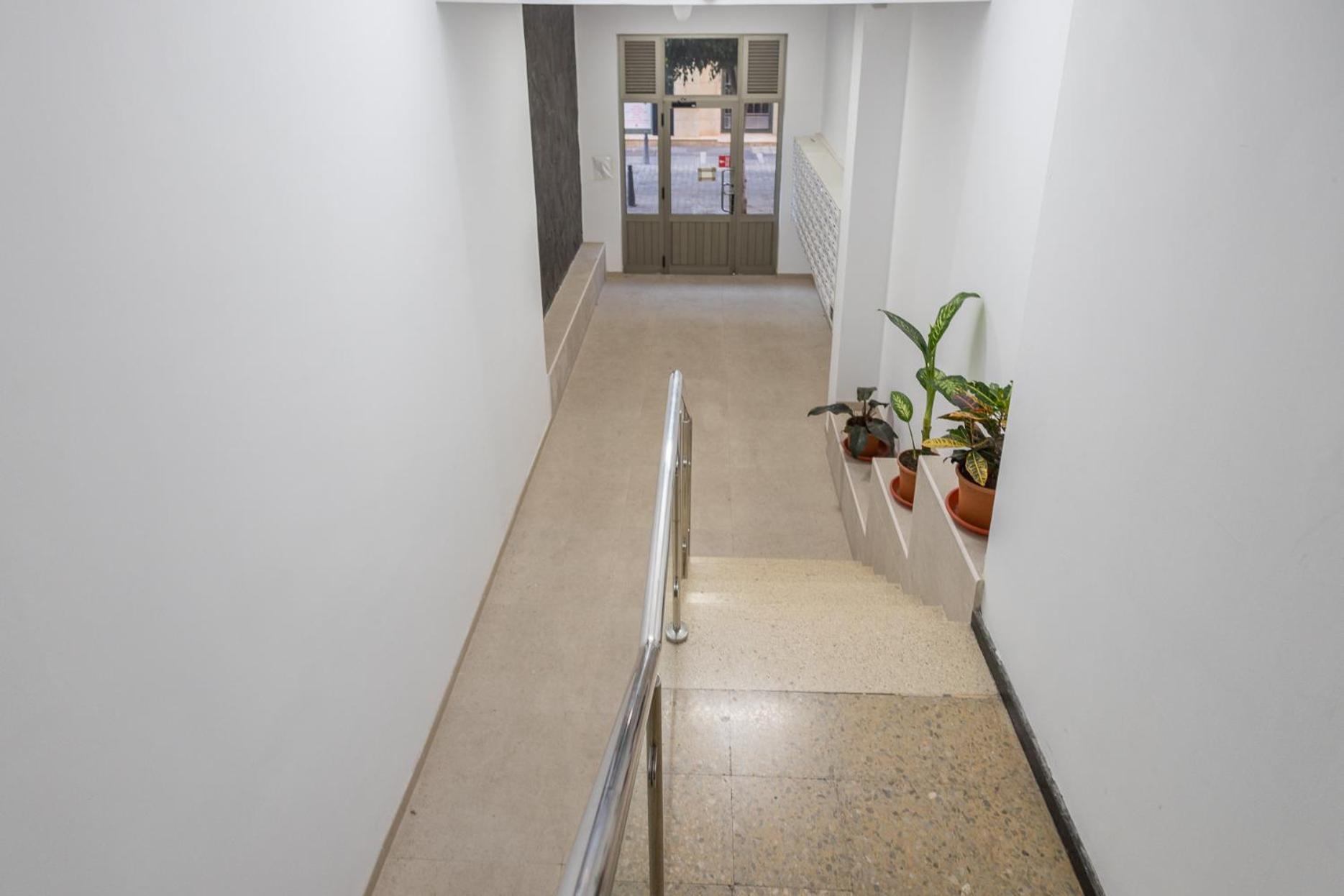 Apartment Comfy Renovated Next To The *