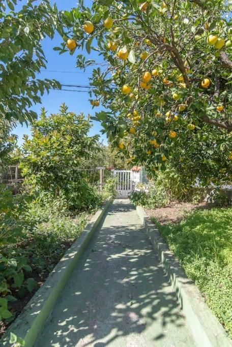 La Casita De Coco *