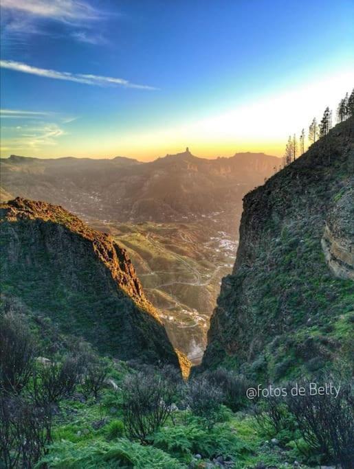 La Casita De Coco Tejeda (Gran Canaria)