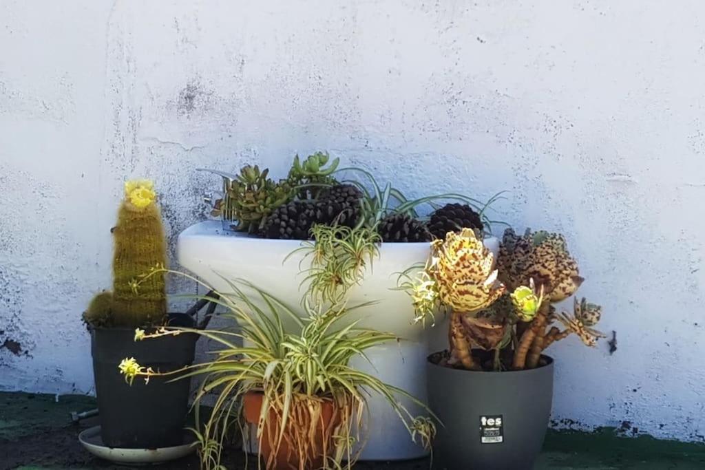 La Casita De Coco Holiday home Tejeda (Gran Canaria)