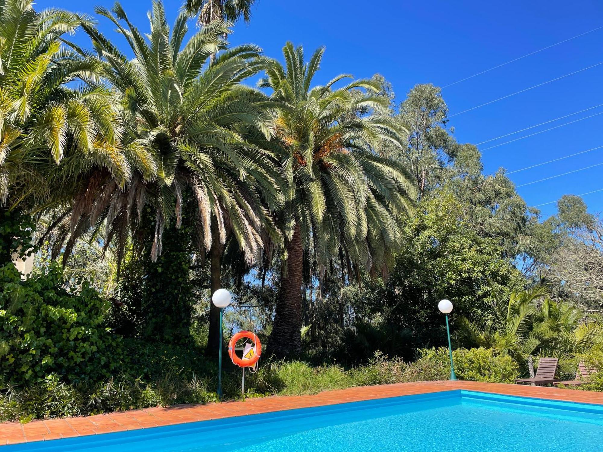 Duplex De Invitados En Medio Del Bosque * Firgas