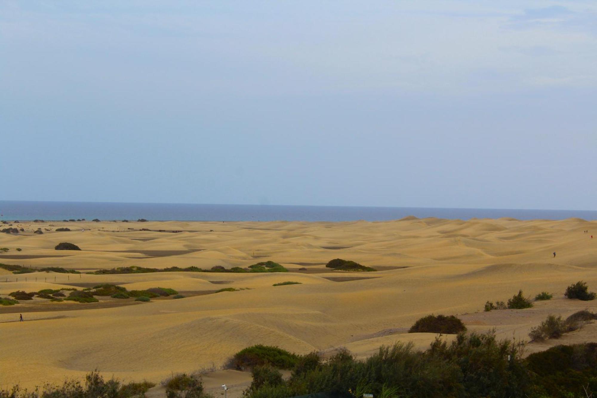 Sunrise Maspalomas By Privilege *