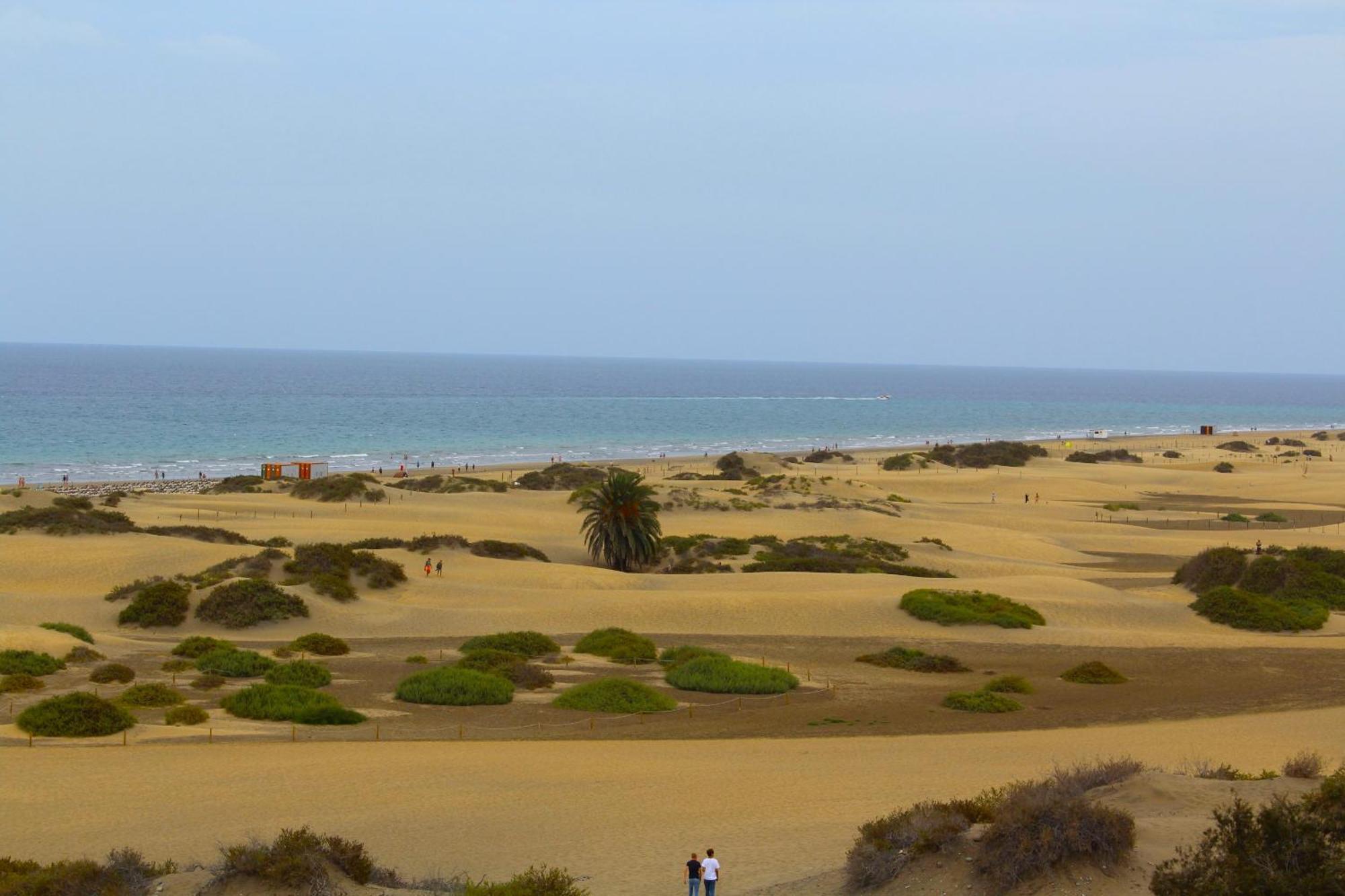 Sunrise Maspalomas By Privilege * San Bartolome de Tirajana (Gran Canaria)