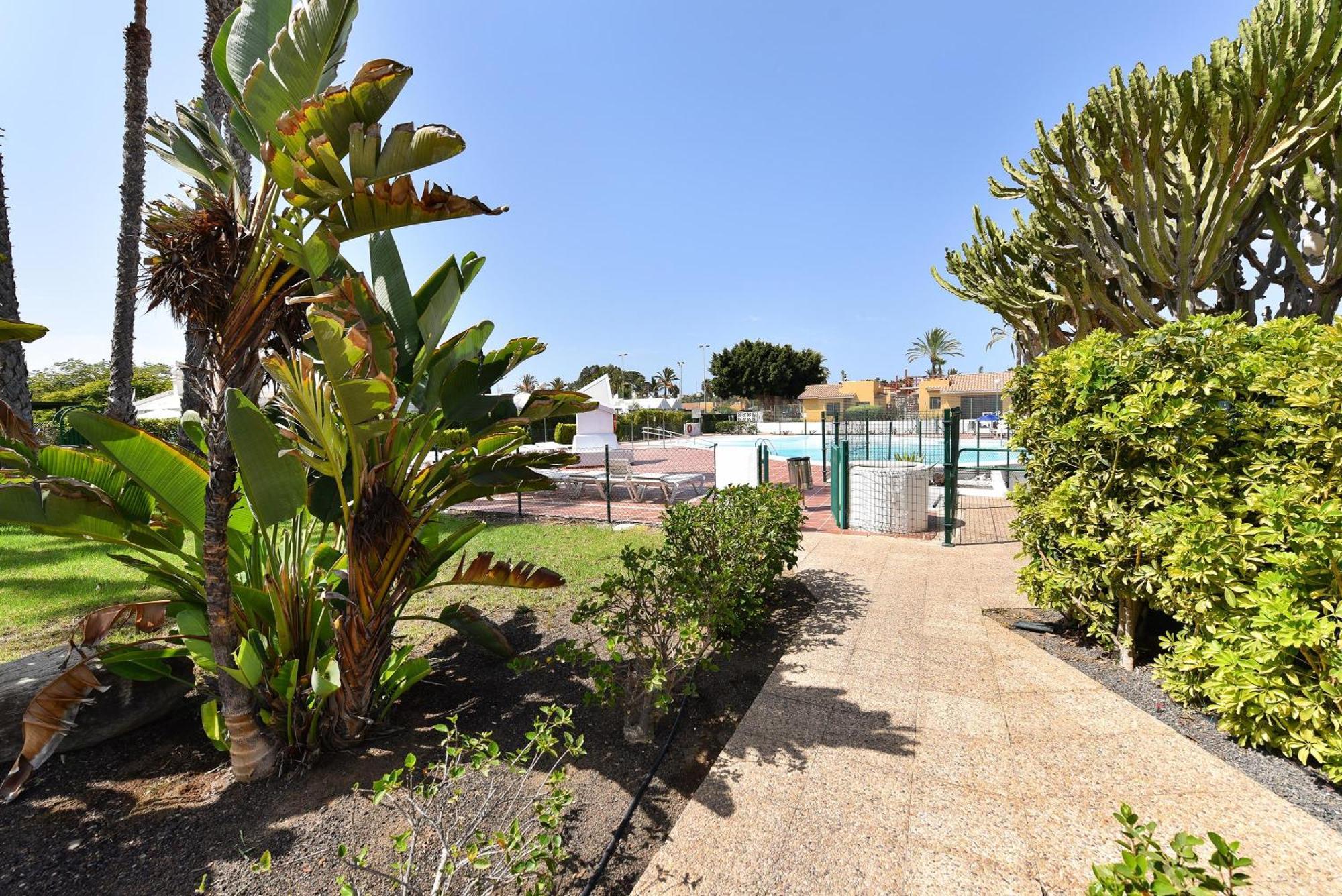 Apartamento Playa Flor 82 By Villagrancanaria