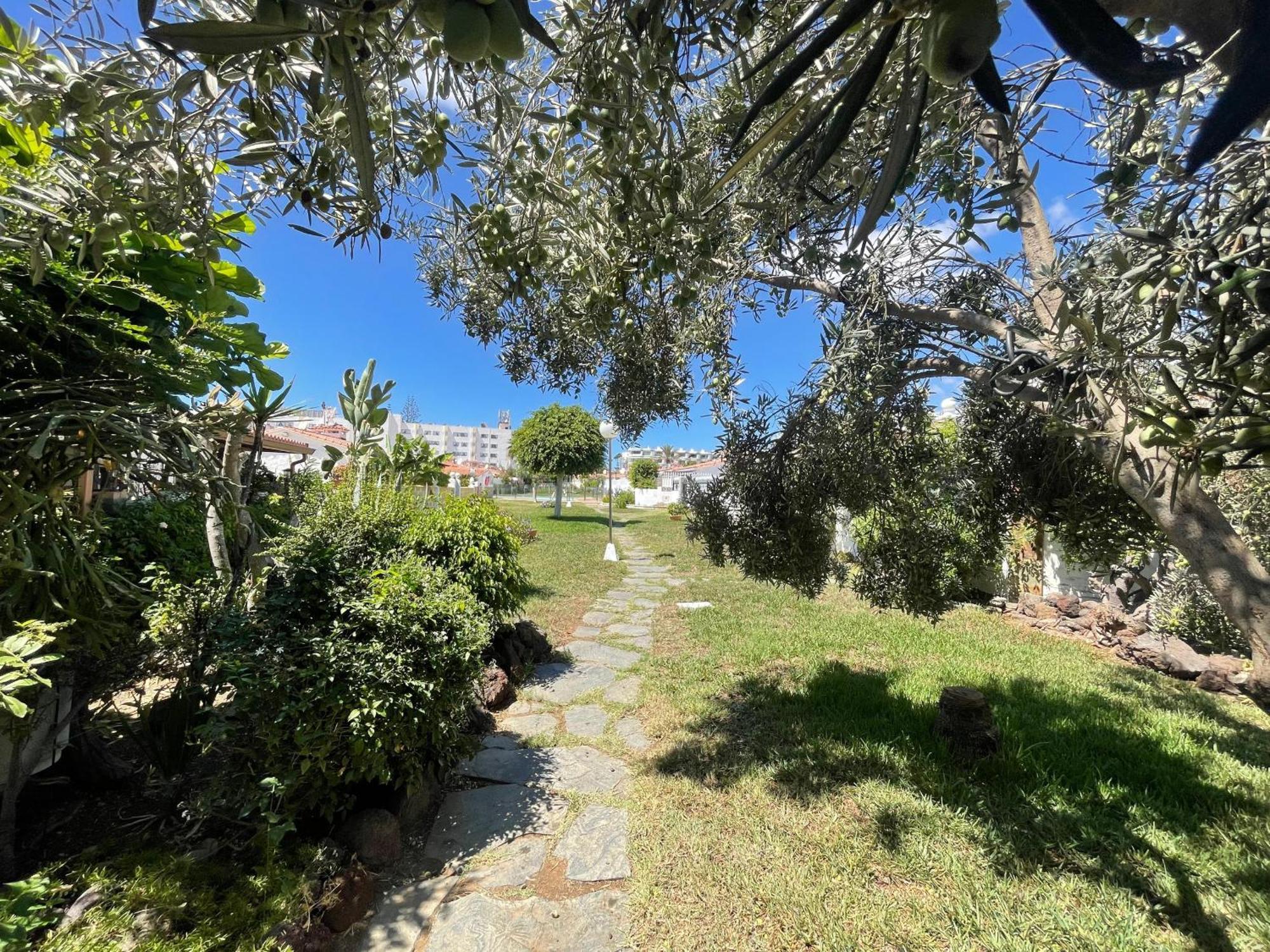 Сasa de vacaciones Deluxe Porches - By Gestion Vacacional Canarias