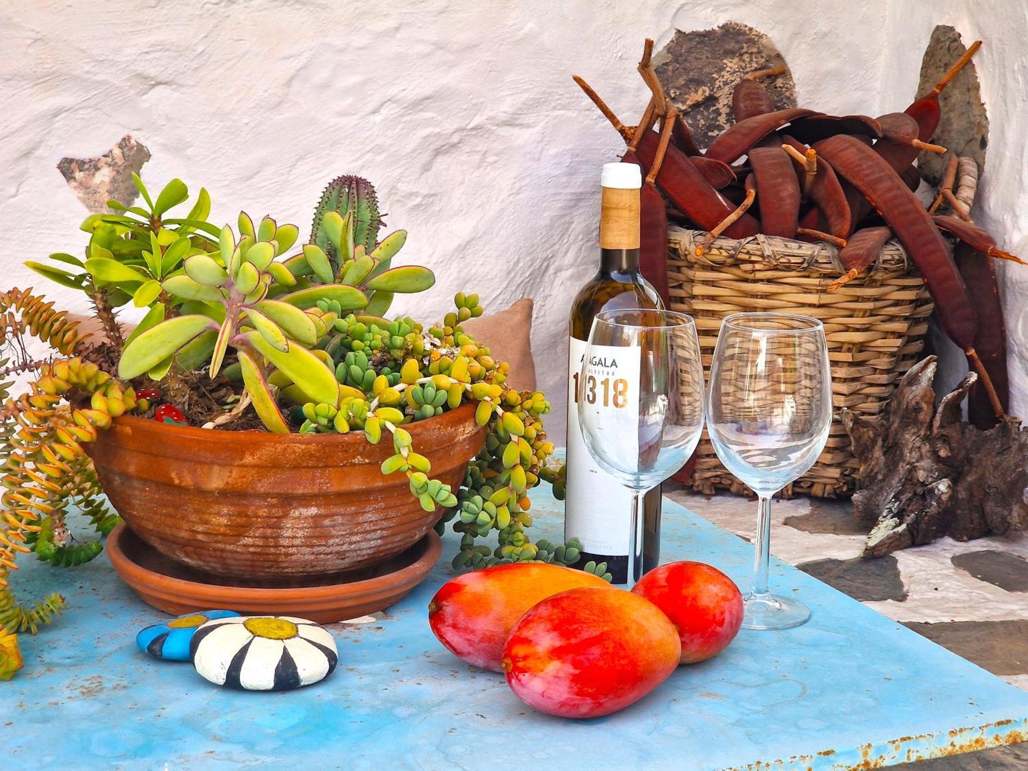 Historica Casa Con Vistas Al Jardin De Cactus Y Montanas Casa vacanze