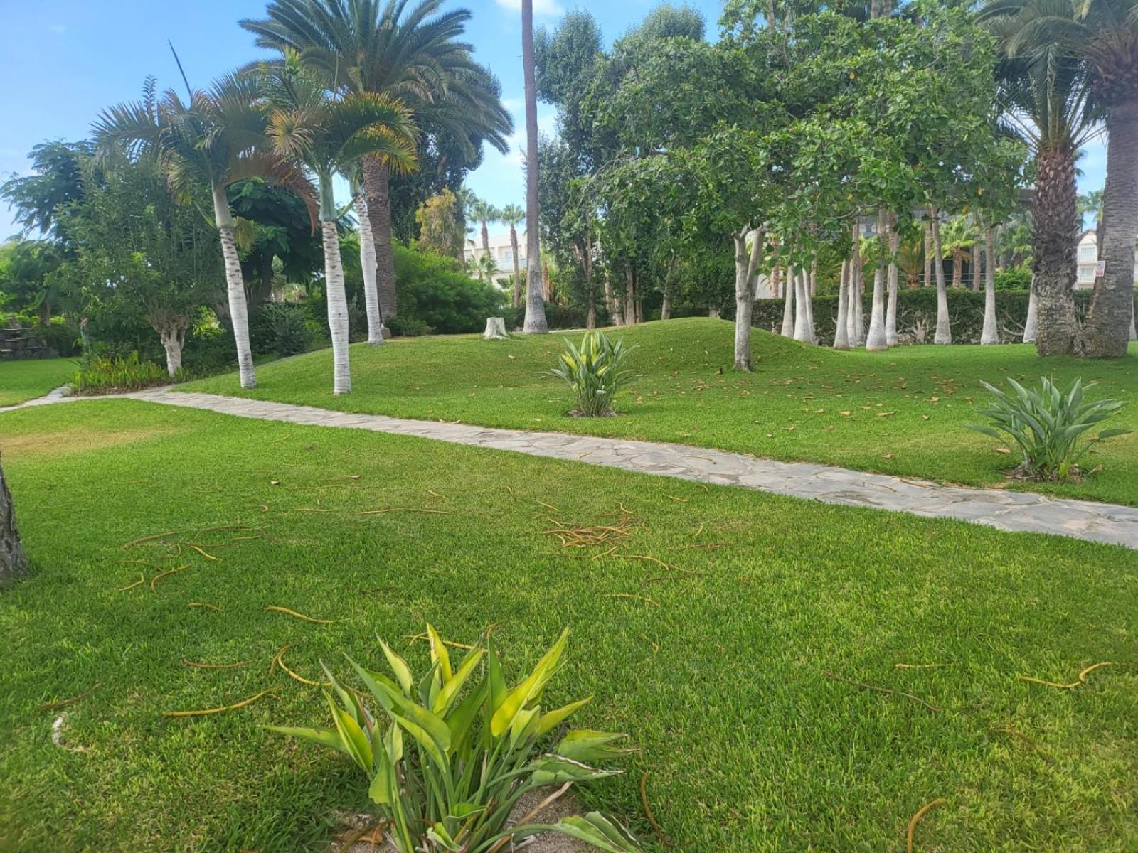 Maravillosa 2 Apartamento