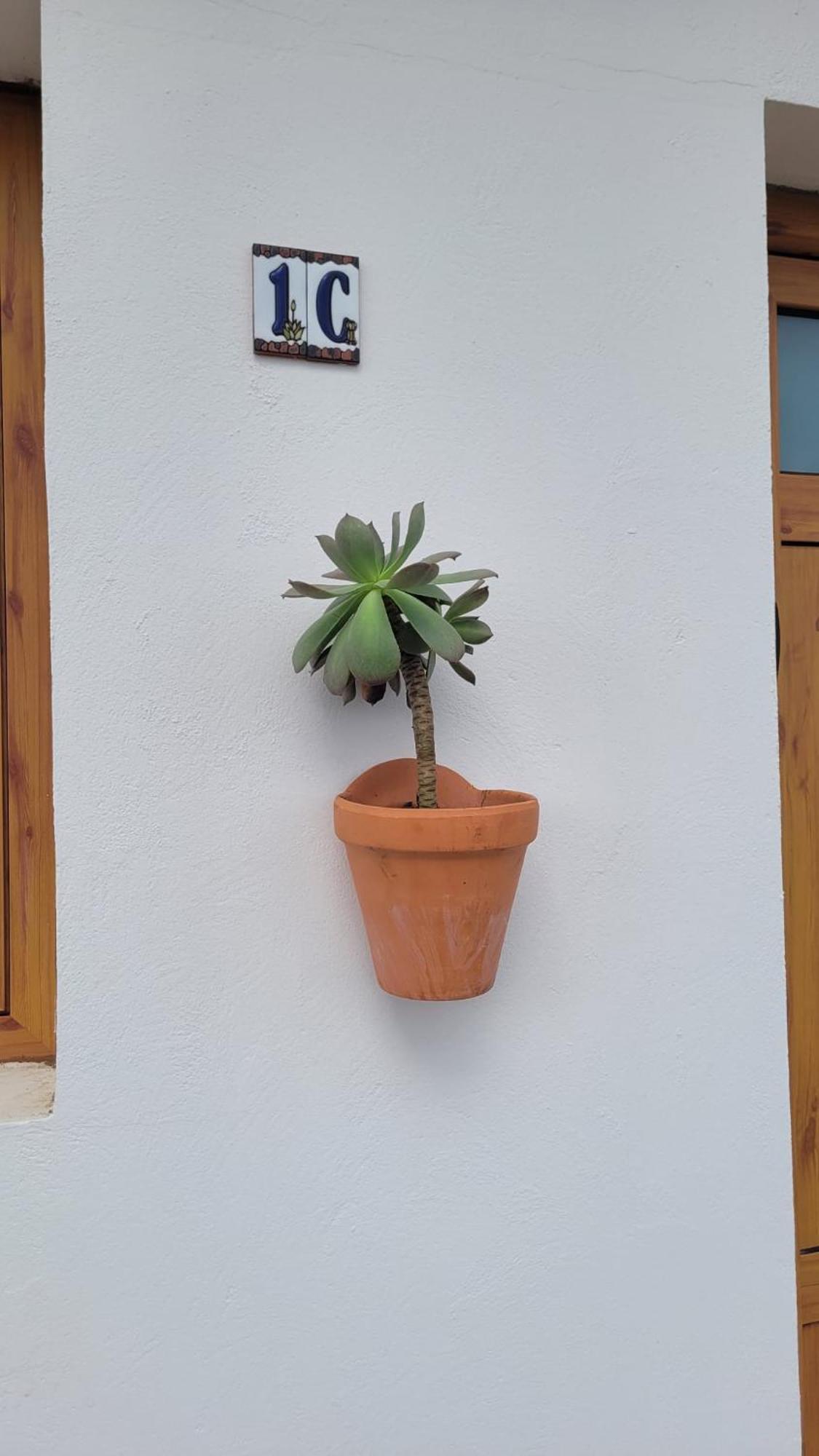 La Casita Del Tito Carlos