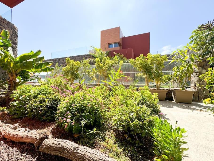 The Canarian Garden By Tenpropertiesgc