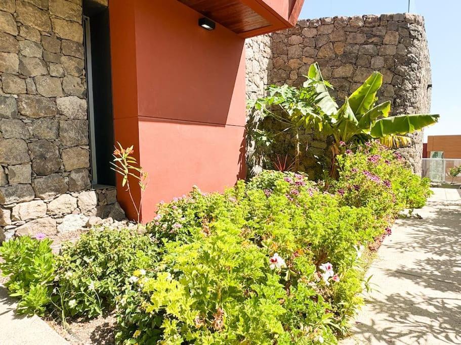 The Canarian Garden By Tenpropertiesgc Villa Las Palmas de Gran Canaria