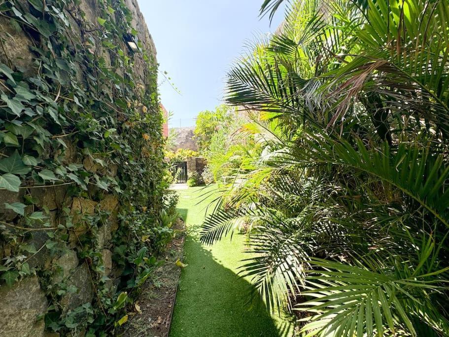 The Canarian Garden By Tenpropertiesgc Villa *