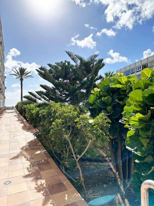 Apartamento Playa Canon Del Aguila