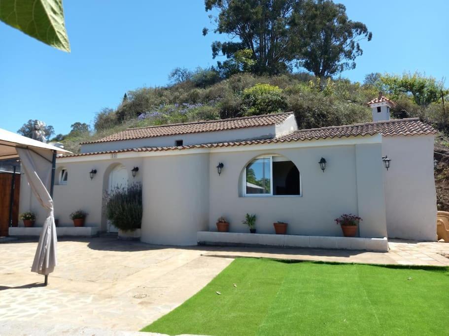 Zenda De Fontanales Moya (Gran Canaria)