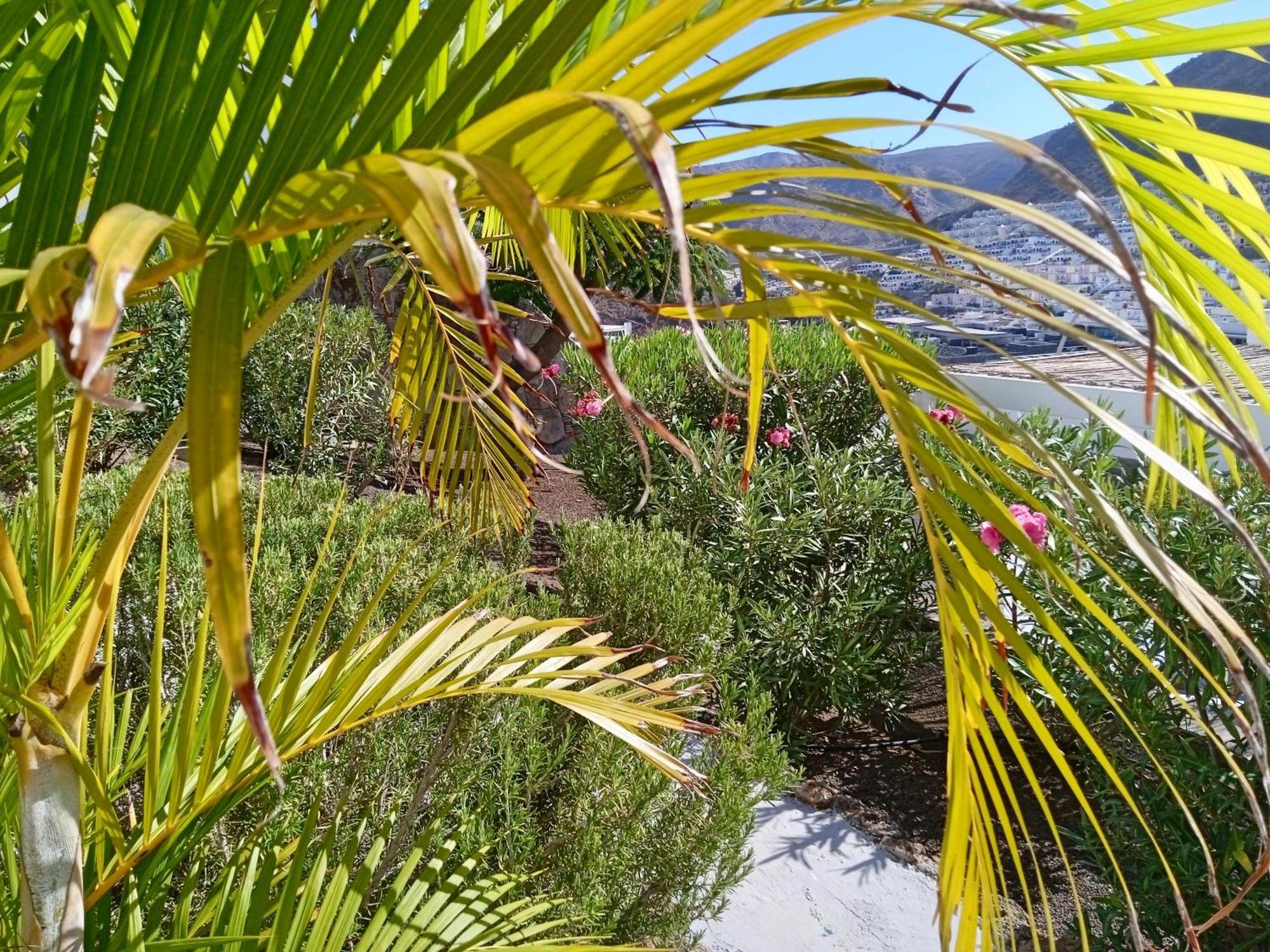 Deluxe En Canaima- Puerto Rico Apartamento Puerto Rico (Gran Canaria)