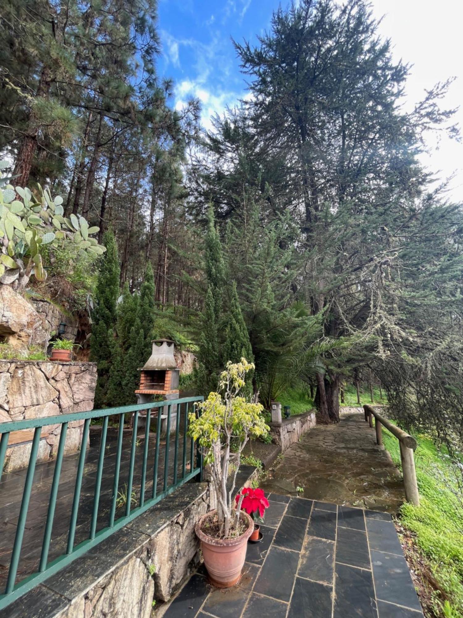Villa El Lance Zumacal Firgas