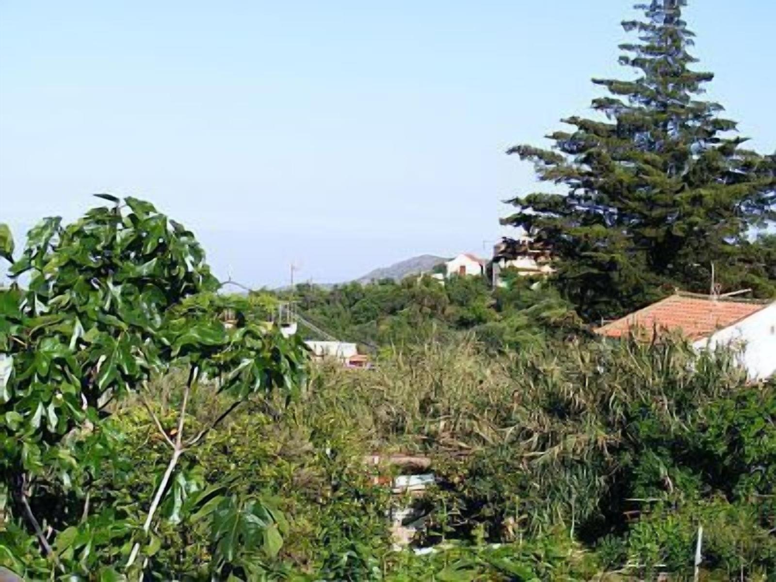 Historisches Apartamento Tenteniguada