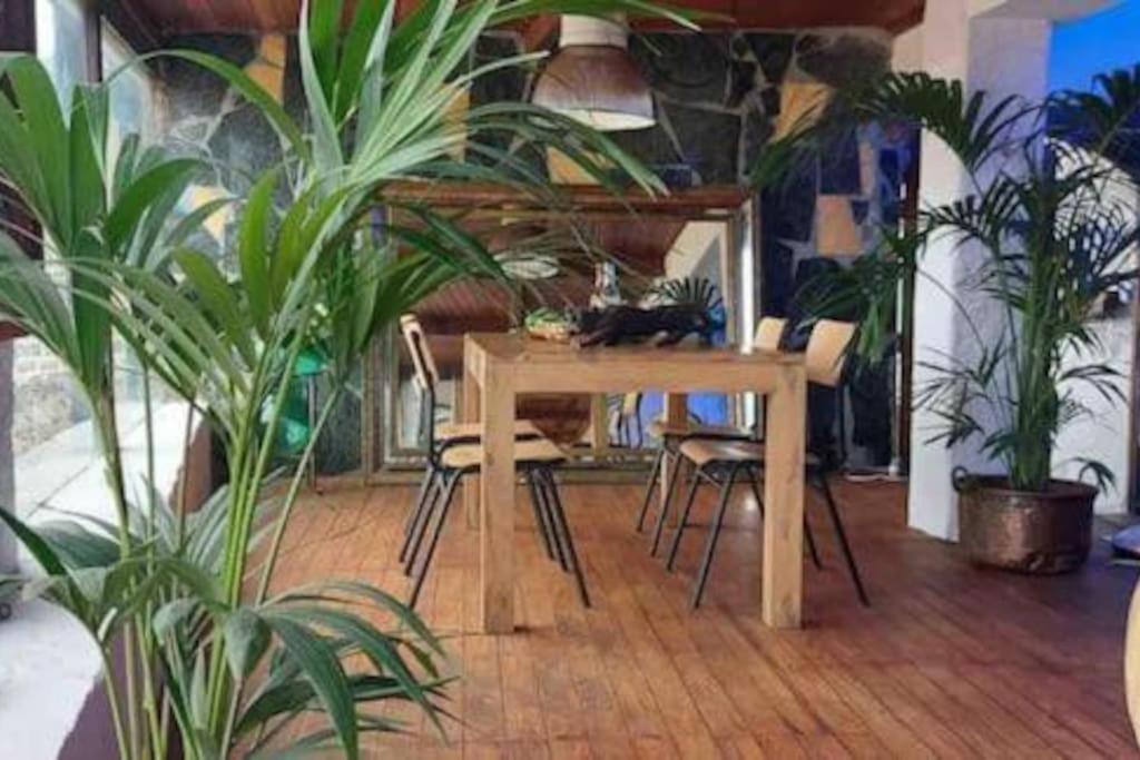 Apartment Casa Puma - Oaxaca Agaete (Gran Canaria)