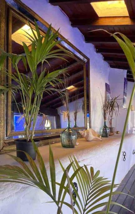 Casa Puma - Oaxaca *