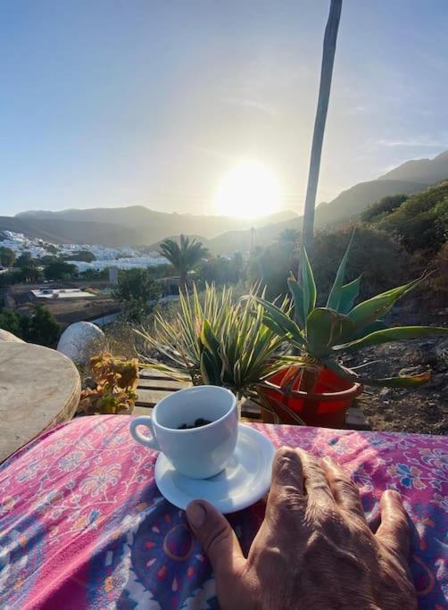Apartamento Casa Venado - Oaxaca