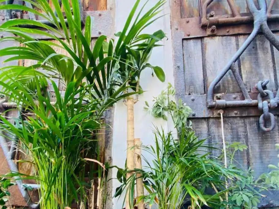Apartamento Casa Venado - Oaxaca *