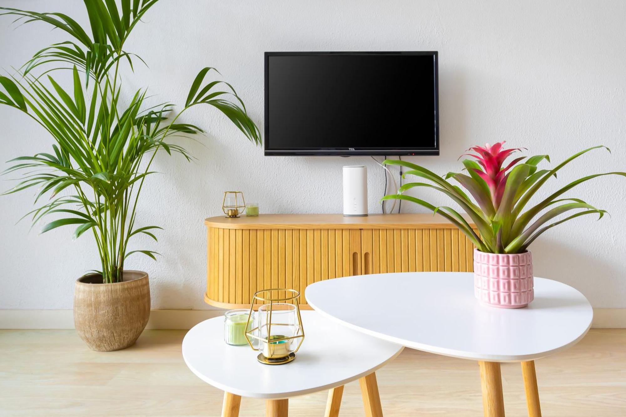 Apartamento Casa Valentina - Canaima - Con Aire Acondicionado *