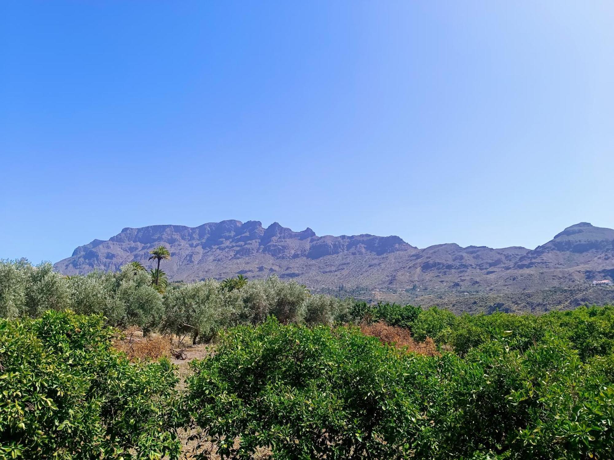 Agroturismo La Casa De La Pradera Santa Lucía