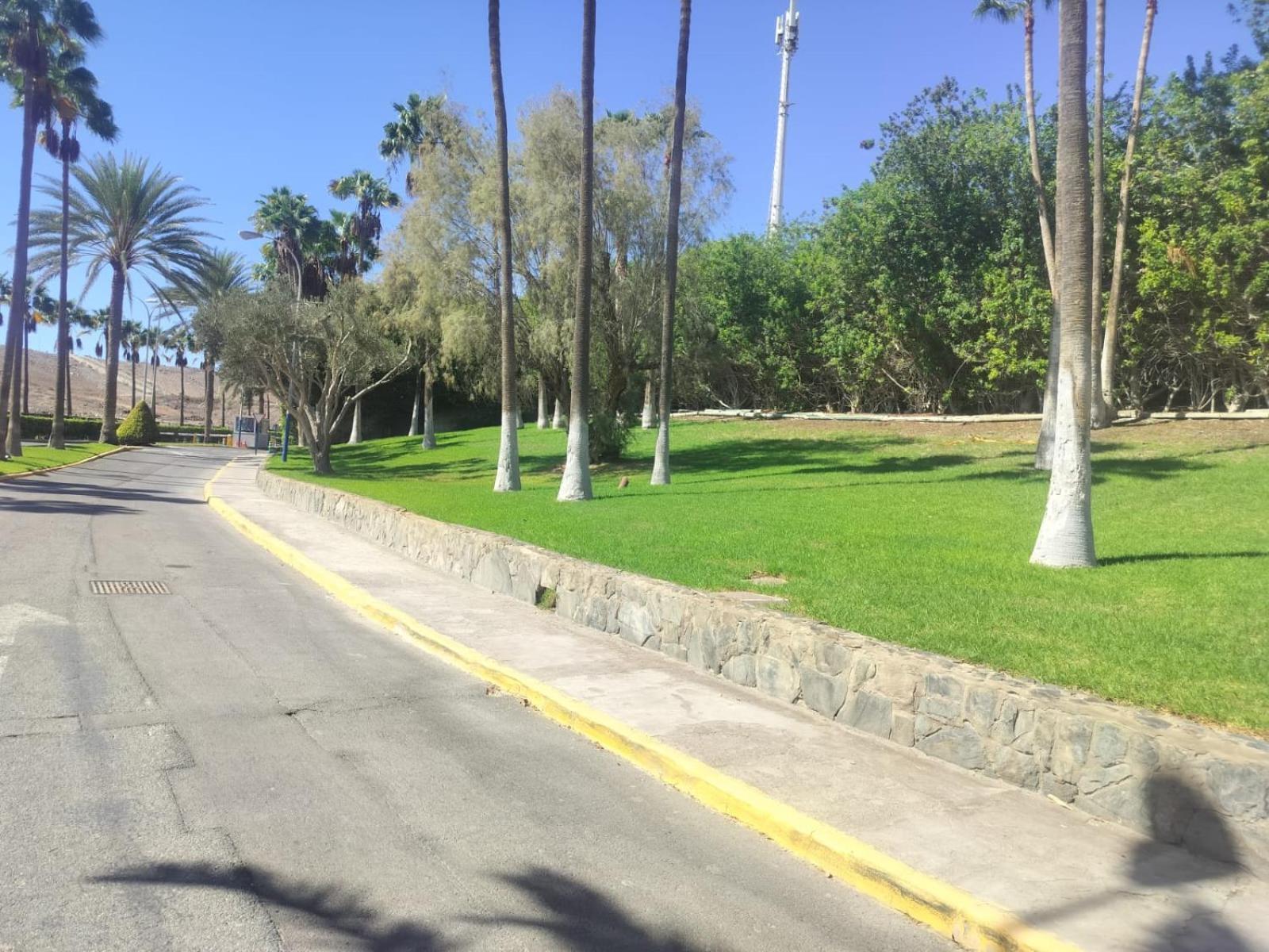 Affittacamere Maspalomas Pasito Pasito Blanco