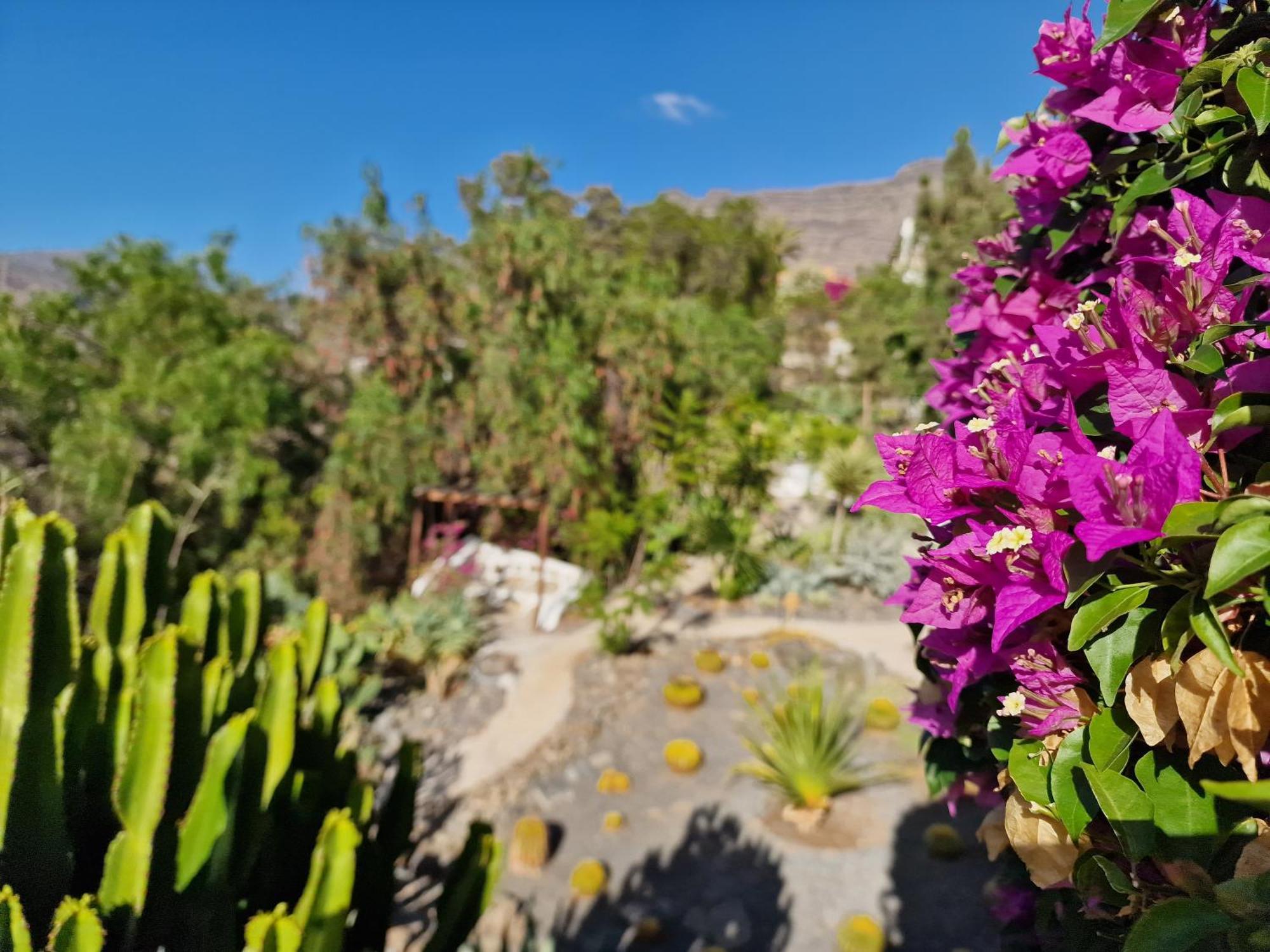 Сasa de vacaciones Casa Juan Mogán