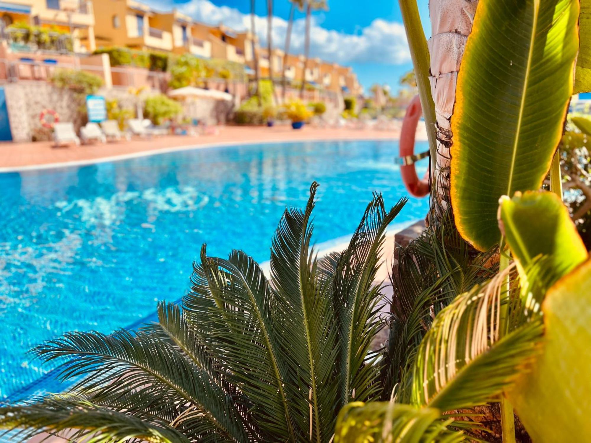 Oasis Meloneras Cerca Del Mar Villa Maspalomas (Gran Canaria)