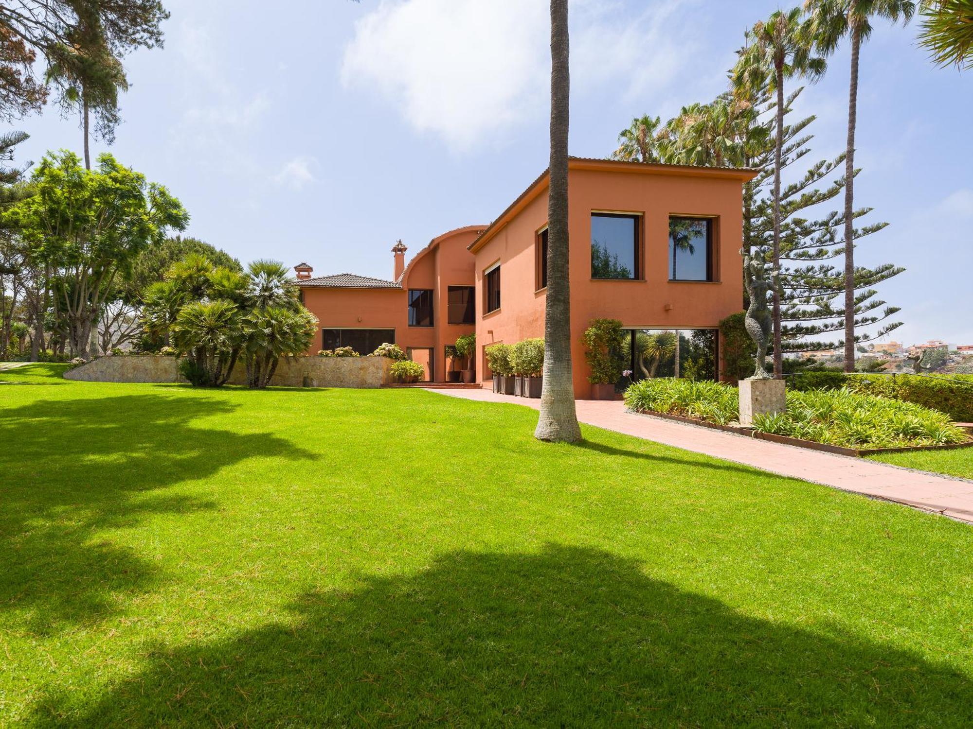 Pinos Villa Firgas
