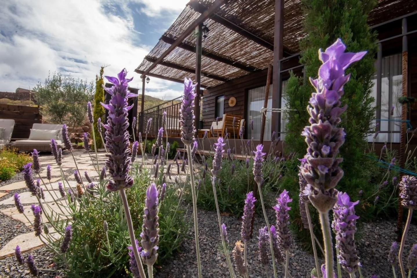 Casa vacanze Jardin Del Norte Gáldar