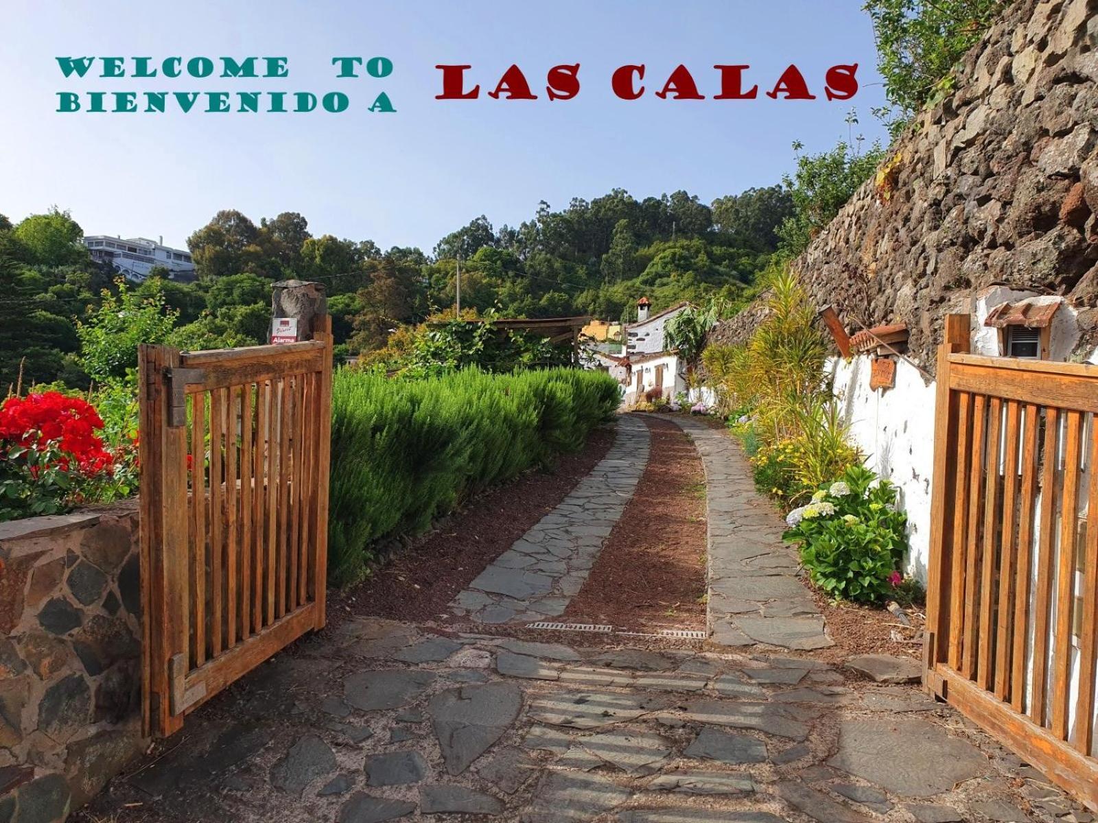 Calas A By Rivero *