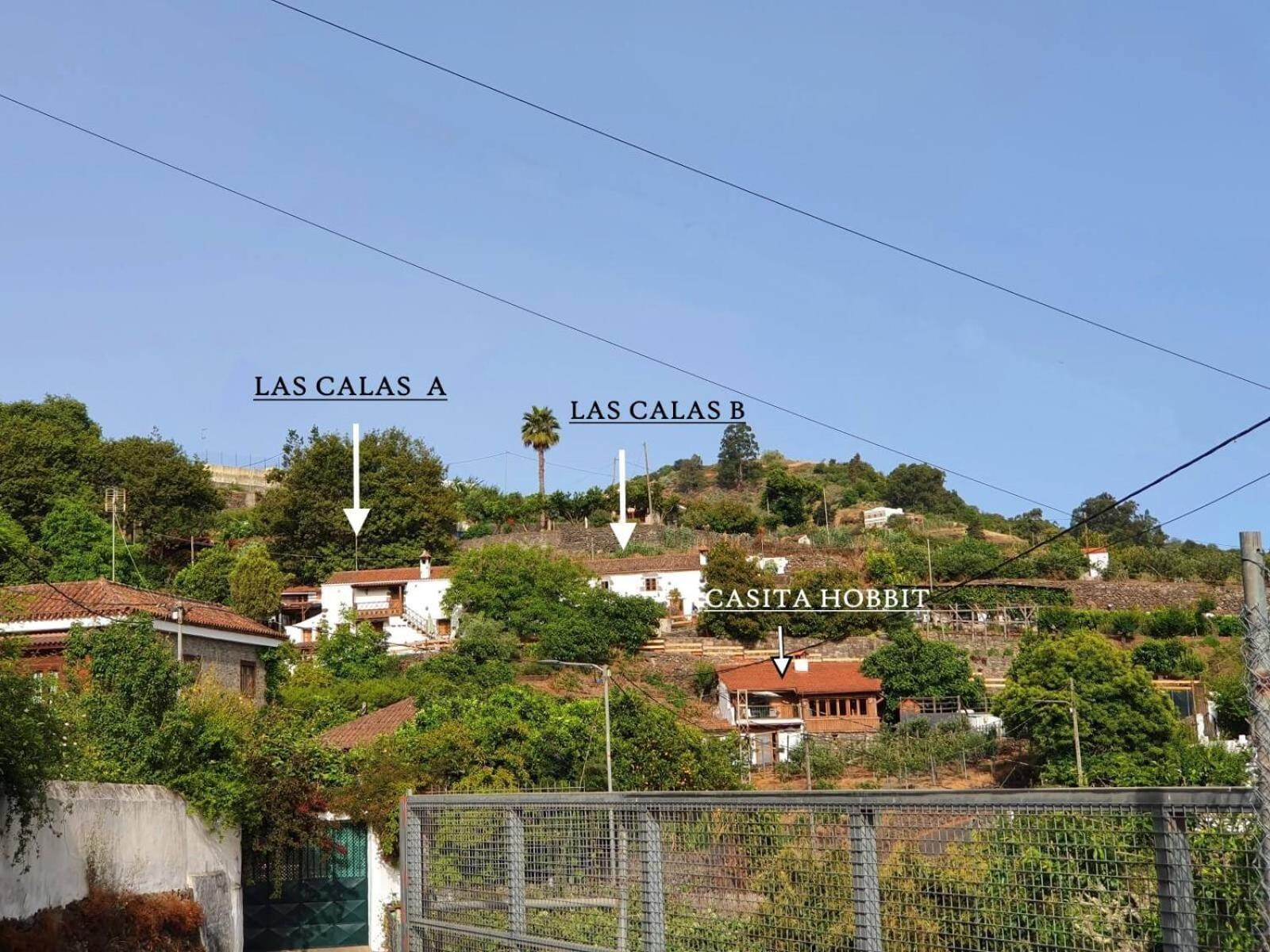 Calas A By Rivero Valleseco