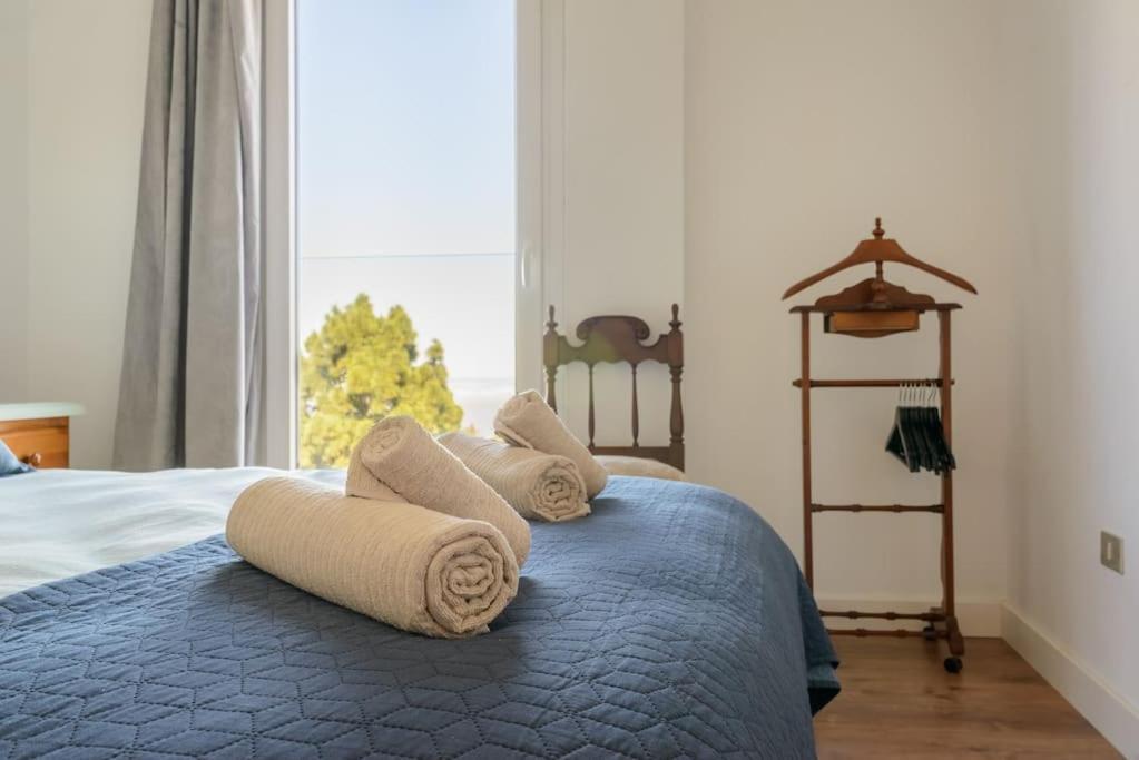 Villa Con Piscina Y Vista Al Mar Moya (Gran Canaria)