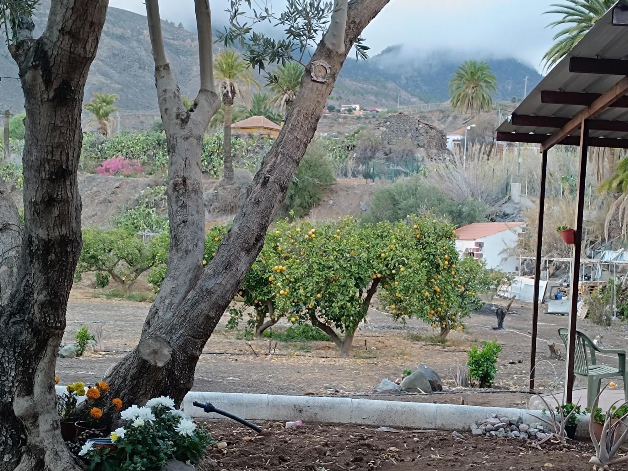 La Casa De La Pradera Agroturismo Santa Lucía