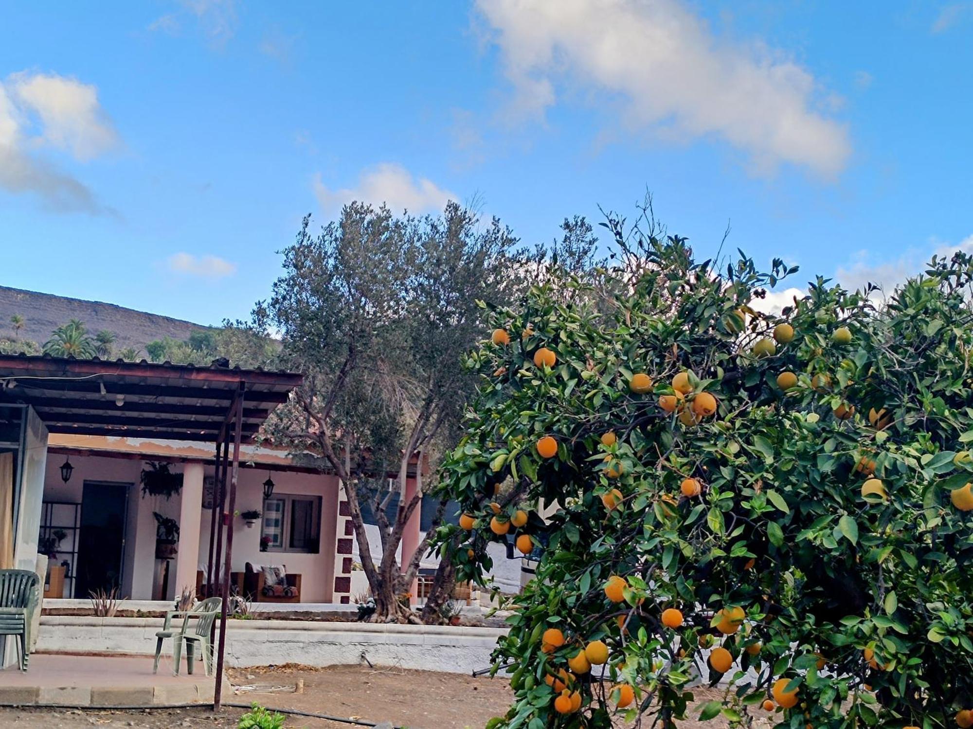 La Casa De La Pradera Santa Lucía