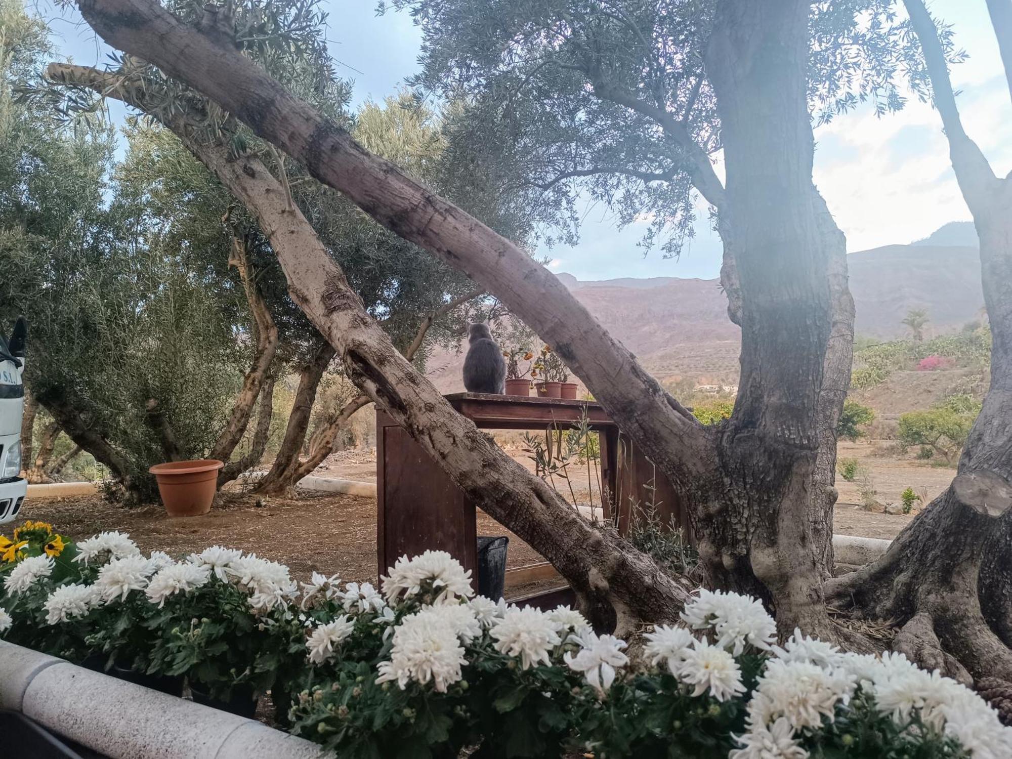 Agroturismo La Casa De La Pradera *