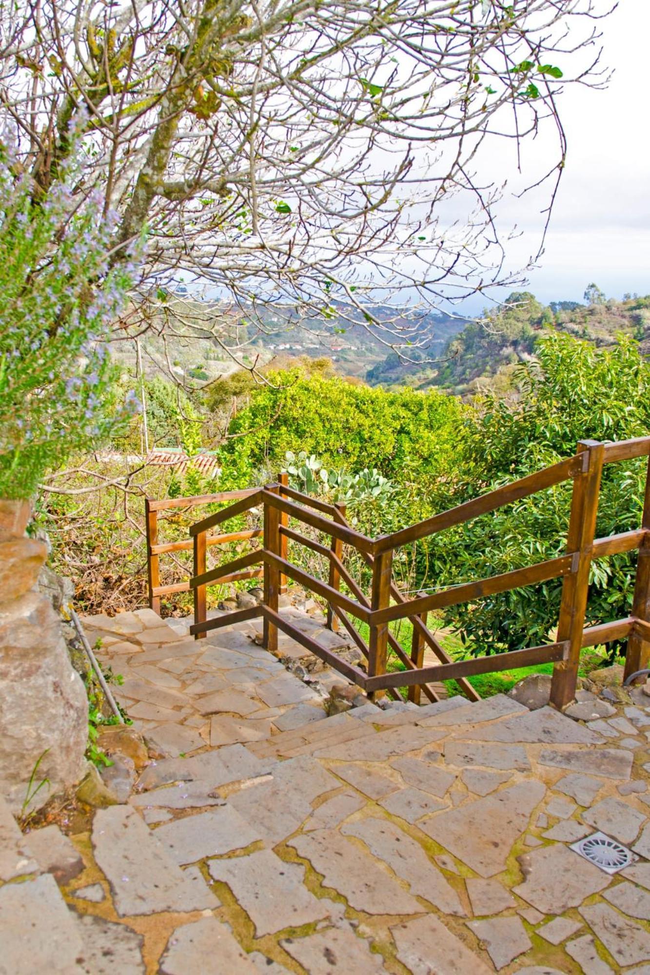 Zenda De Fontanales Chalet Moya (Gran Canaria)