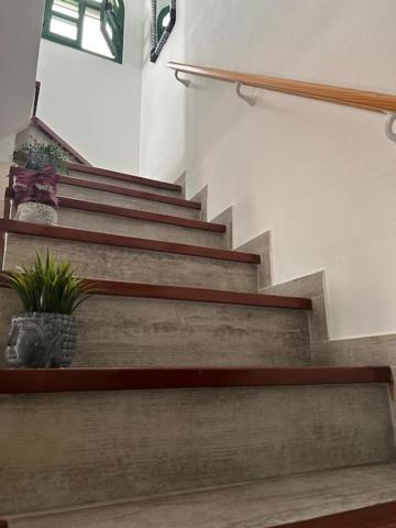 Сasa de vacaciones Duna Flor - Cika 207 *