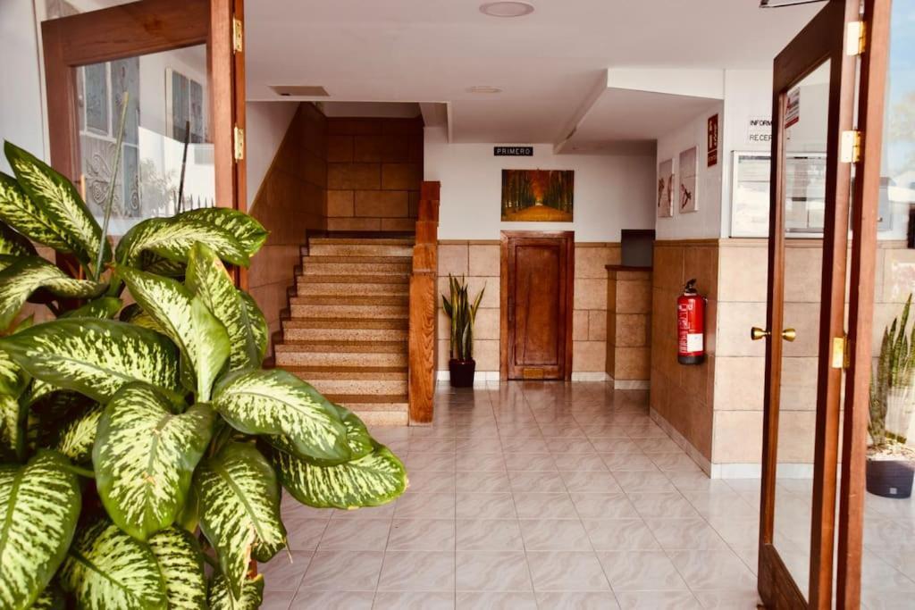 Apartment Alegranza 18