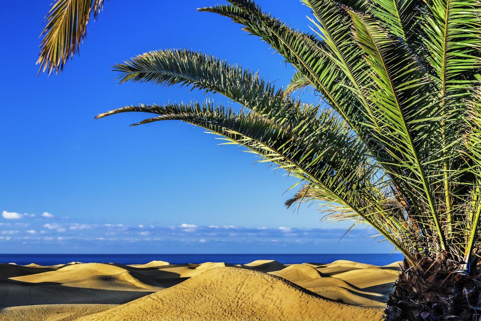 Casa vacanze Confital By Canariasgetaway