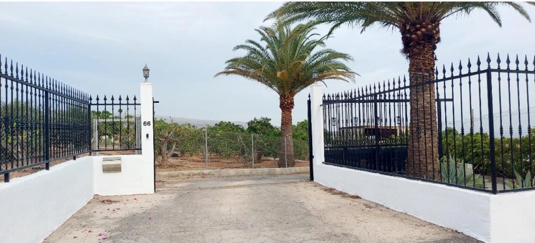 Casa di campagna The Black Horse Canarias - Adults Only